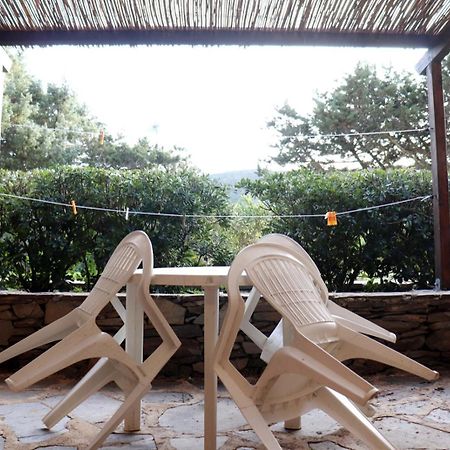 Moon Valley La Pelosa Стинтино Екстериор снимка